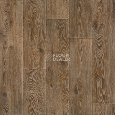 Линолеум Tarkett Evolution Raymond 4 фото 1 | FLOORDEALER